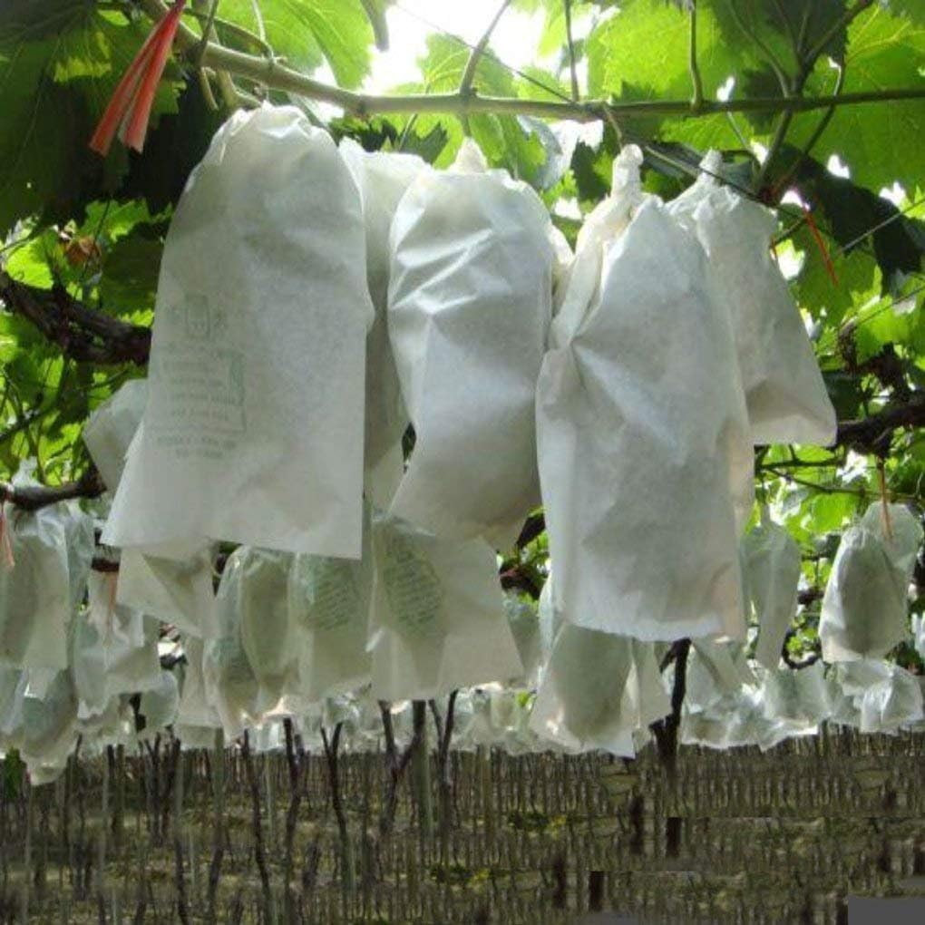 Tissu de jardin de sacs à banane à couverture de plante non tissée